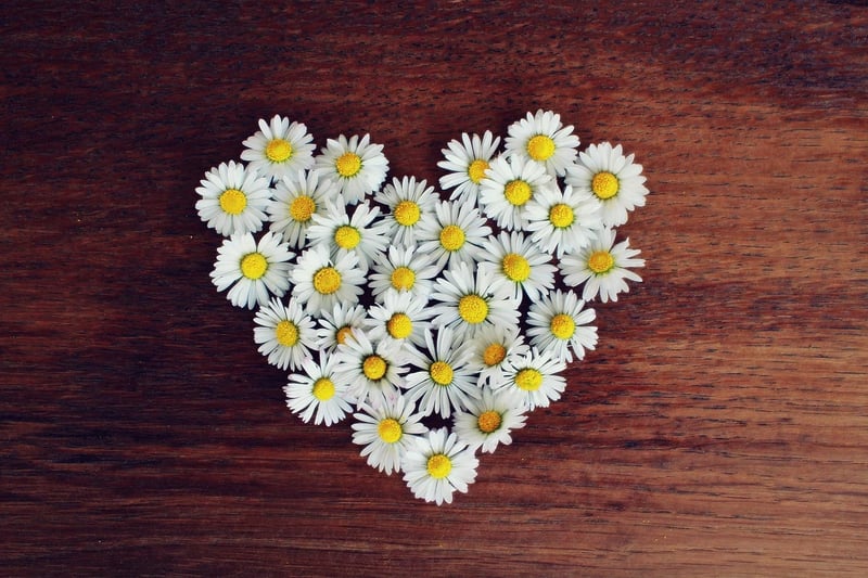 Orbiting Hearts